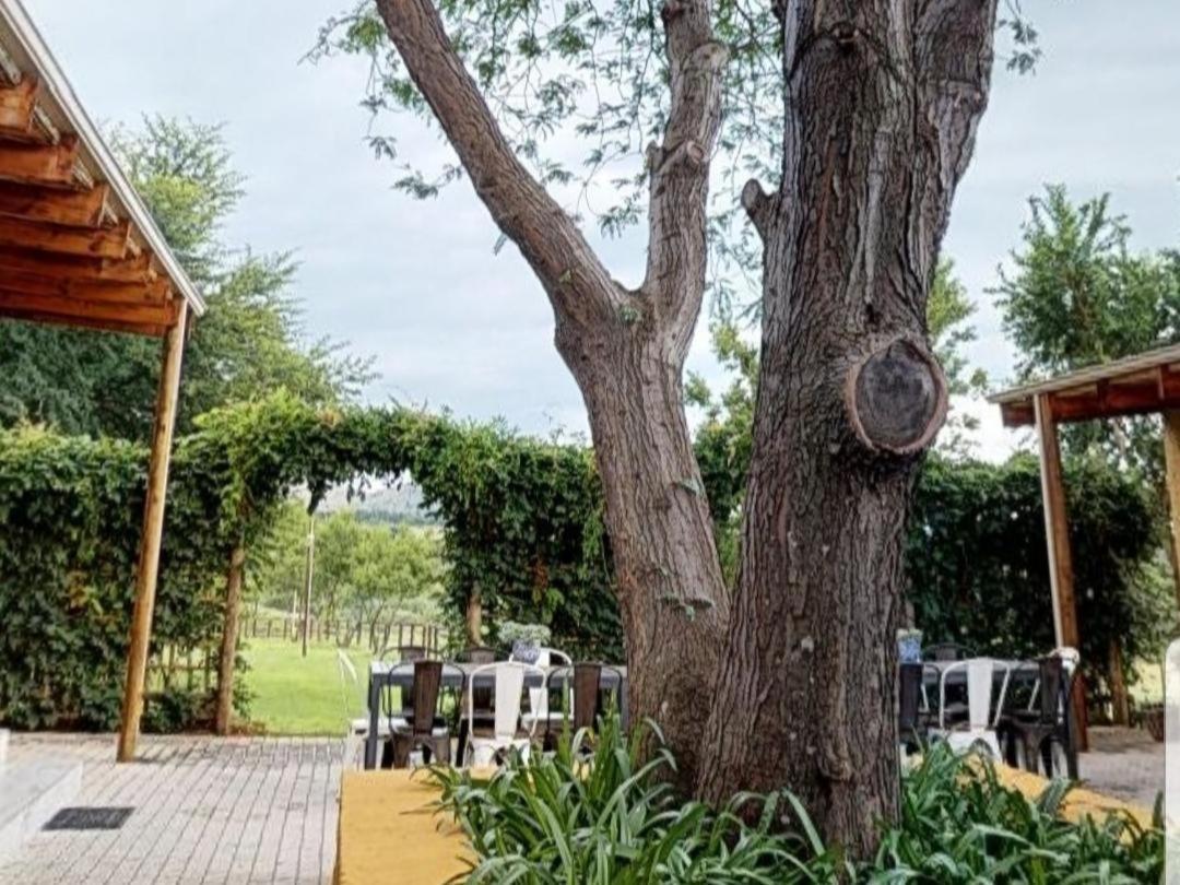 Cradle Valley Boutique Guesthouse Muldersdrift Bagian luar foto