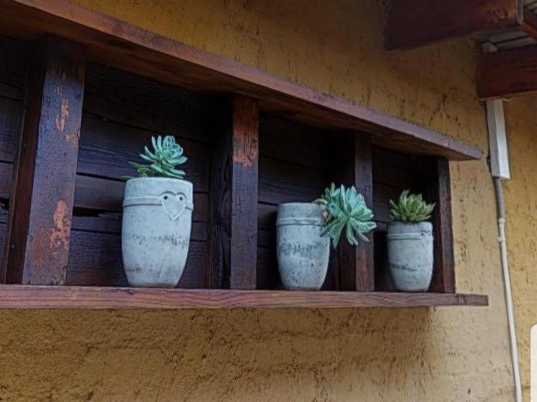 Cradle Valley Boutique Guesthouse Muldersdrift Bagian luar foto